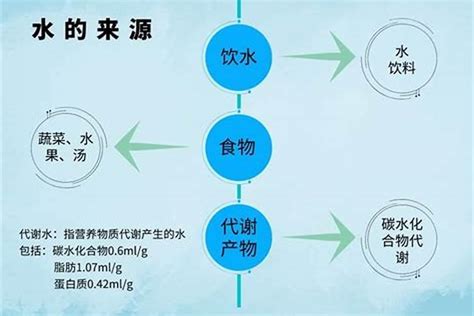 命格缺水|天干缺水怎么补：五行平衡与生活调整